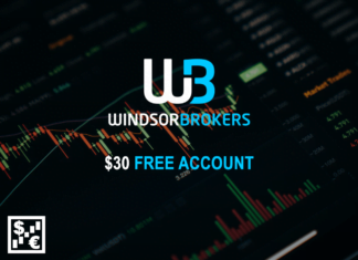 Windsor Brokers – $30 Free Account Windsor Brokers $30 Free Account