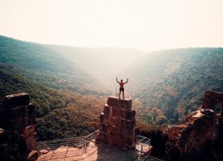 Samtrade FX – Traders Challenge champions-trading-promo