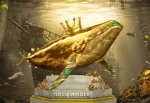 xChief – Gold Whale Contest ForexChief Gold Whale Contest