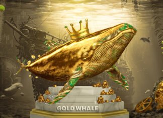 xChief – Gold Whale Contest ForexChief Gold Whale Contest