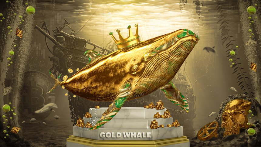 xChief Gold Whale Contest