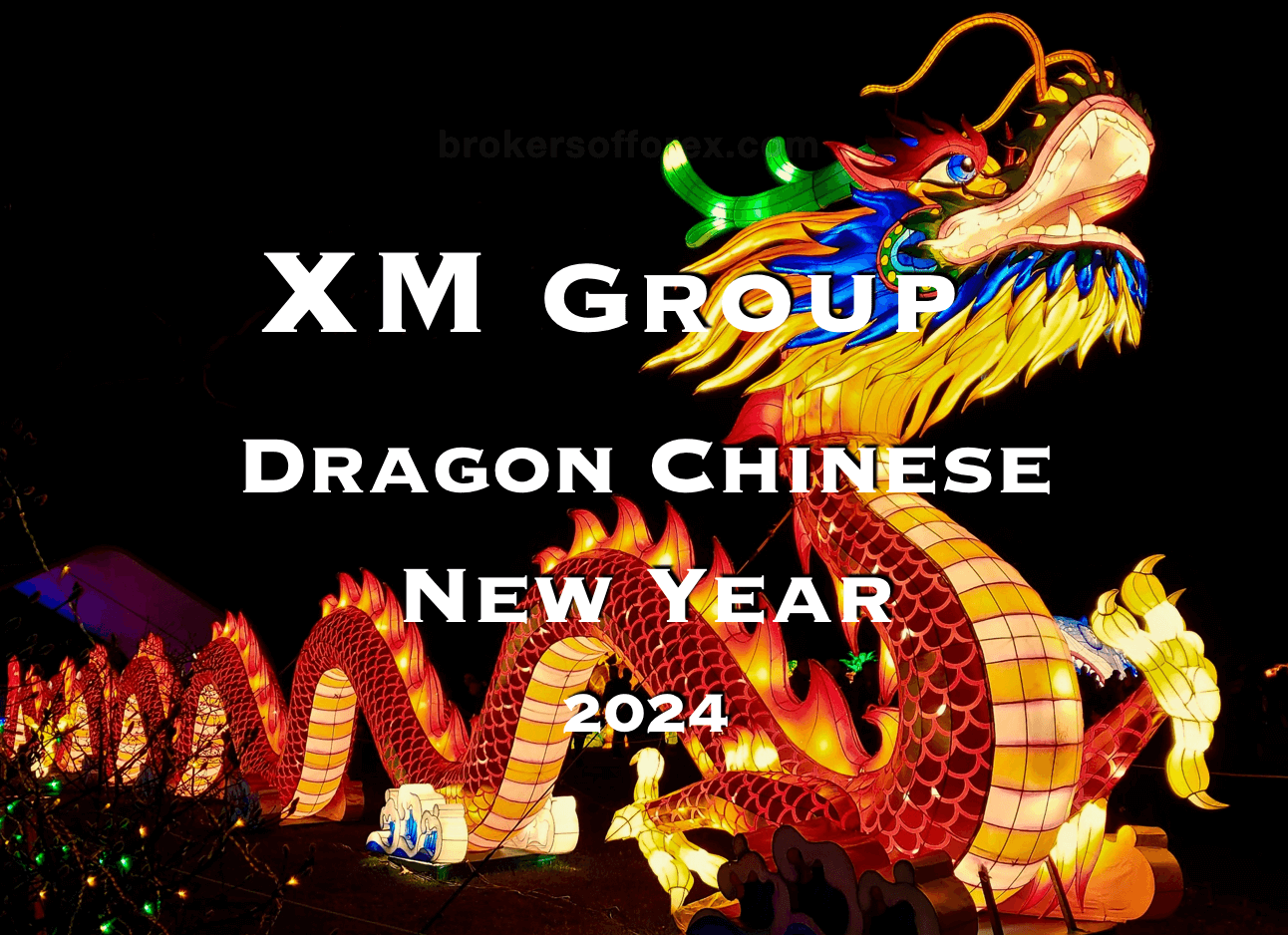 XM Group - Dragon Chinese New Year